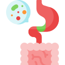 Микробиота кишечника