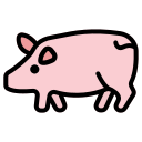 cochon