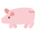 cerdo
