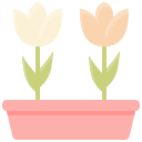 꽃