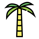 palmier dattier