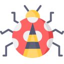 coccinella