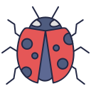 insekt