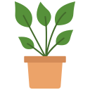 Plant Pot