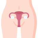 Uterus