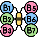 vitamina b