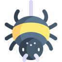 araignée