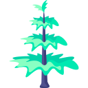 albero dell'araucaria