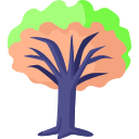 drachenbaum