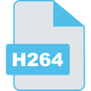 h264