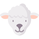 agnello