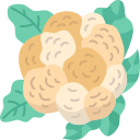 Cauliflower