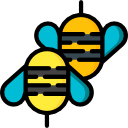 abelhas