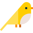 uccello