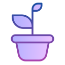 Plant pot