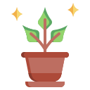 plant in bloempot
