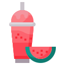 wassermelonen smoothie