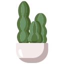 blauwe zuilvormige cactus