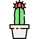 cactus lunaire