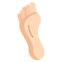 piedi