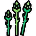 Asparagus