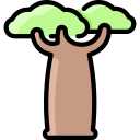 baobá