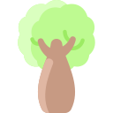 Бутылочное дерево