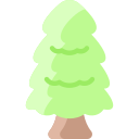 Cedar