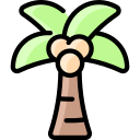 Árbol de coco
