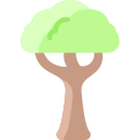 Árbol