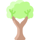 albero
