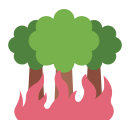 incendio forestale
