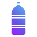 Plastic bottle