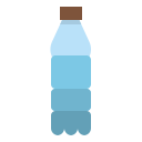 Plastic bottle