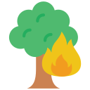 waldbrand