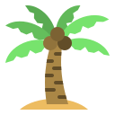 Coconut tree