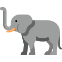 elefant