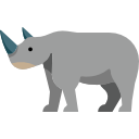 rhinocéros