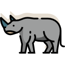 nosorożec
