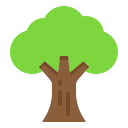 Árbol