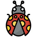 Ladybug