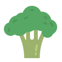 brócolis