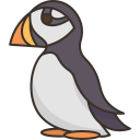 puffino