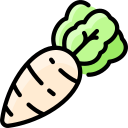 Daikon