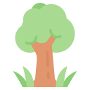 Árvore