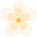 frangipani