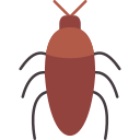 바퀴벌레