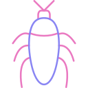 바퀴벌레