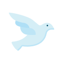 Dove