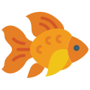 peixe dourado